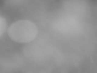 voyeurcam casa salsa pool 1